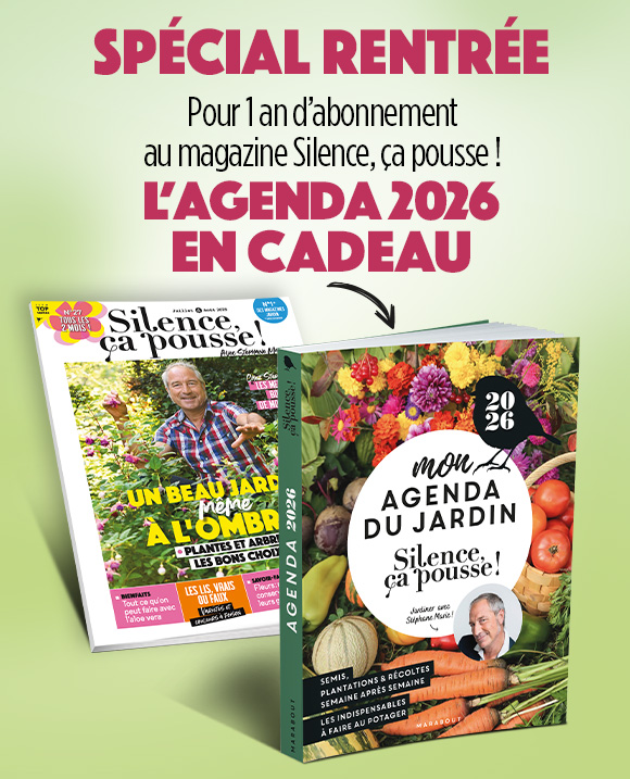Couverture du magazine SCP - Abonnement papier 1an - Agenda-2026 (33,00€)