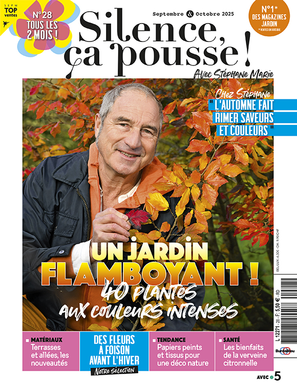 Couverture du magazine Silence ça pousse n°28