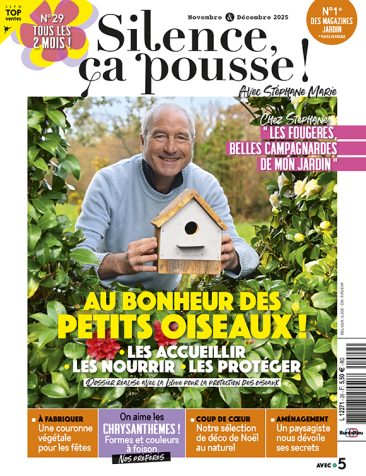 Couverture du magazine Silence ça pousse n°29