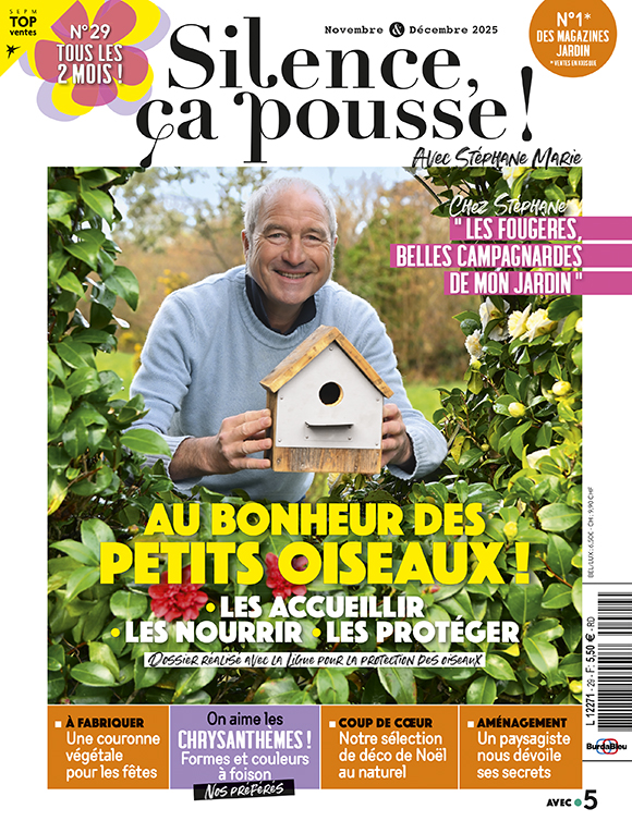 Image de presentations des produits