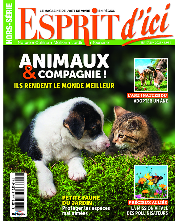 Couverture du magazine Esprit d'ici HS 26