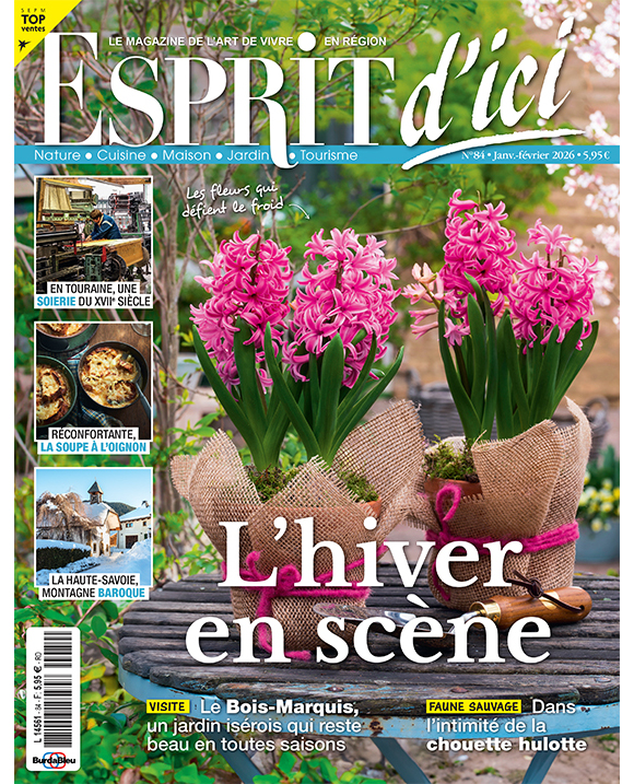 Couverture du magazine Esprit d'ici n°84