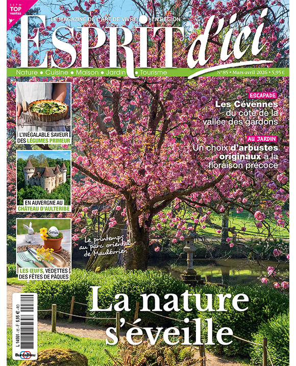 Couverture du magazine Esprit d'ici n°85