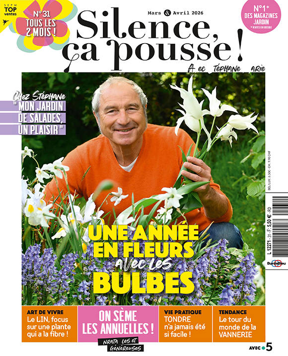 Couverture du magazine Silence ça pousse n°31