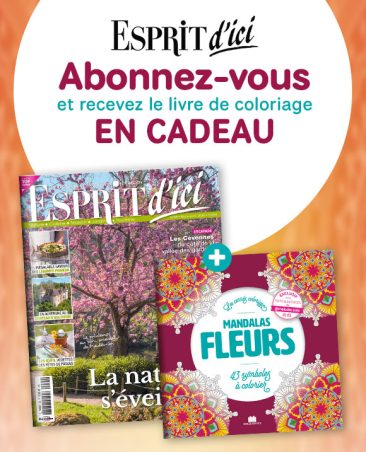 Image de presentations des produits