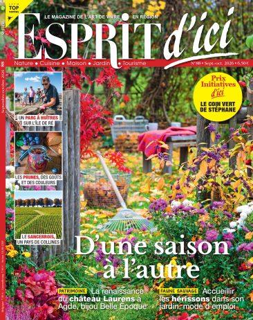 Esprit d'ici image